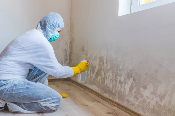 Licensed Mold Inspection And Testing service in Rogers, TX - 24 Hour Mold Removal