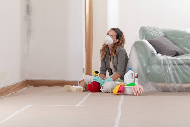 Reliable Mold Inspection And Testing contractor in Rogers, TX by 24 Hour Mold Removal